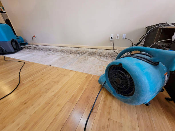 Professional Flood Damage Cleanup technician working in Weston, CO